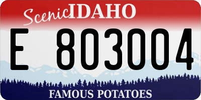 ID license plate E803004