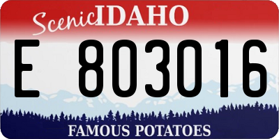 ID license plate E803016