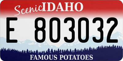ID license plate E803032