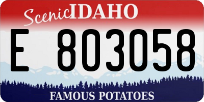 ID license plate E803058