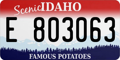 ID license plate E803063