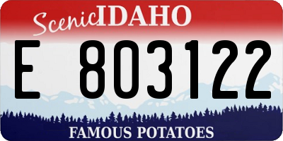 ID license plate E803122