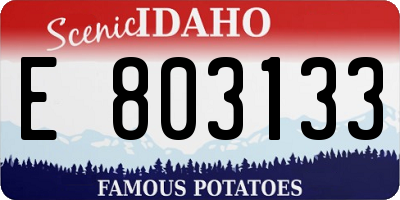 ID license plate E803133