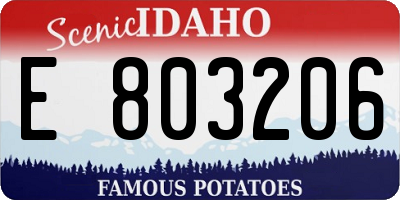 ID license plate E803206