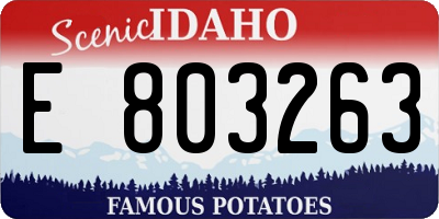 ID license plate E803263