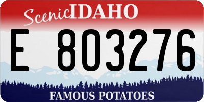 ID license plate E803276