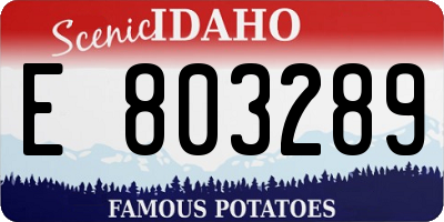 ID license plate E803289