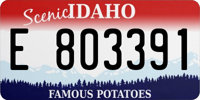 ID license plate E803391