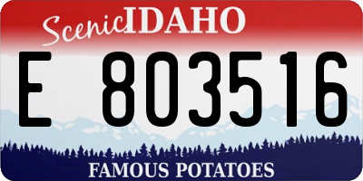 ID license plate E803516