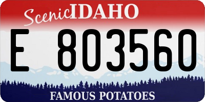 ID license plate E803560