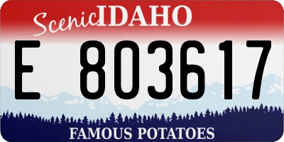 ID license plate E803617
