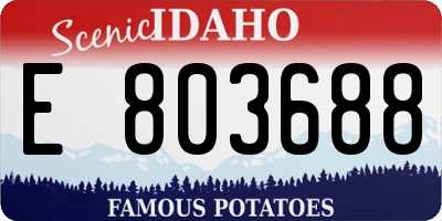 ID license plate E803688