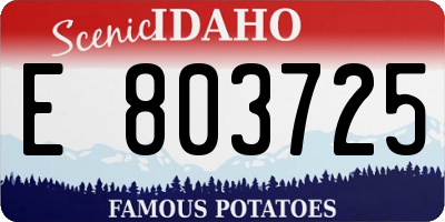 ID license plate E803725