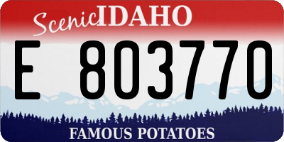 ID license plate E803770