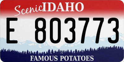 ID license plate E803773
