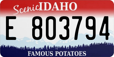 ID license plate E803794