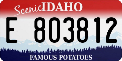 ID license plate E803812