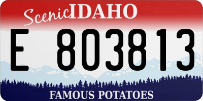 ID license plate E803813