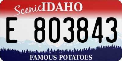 ID license plate E803843