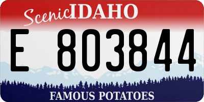 ID license plate E803844