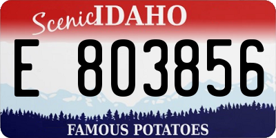 ID license plate E803856