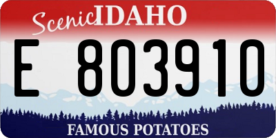 ID license plate E803910