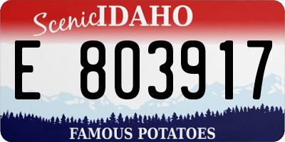 ID license plate E803917