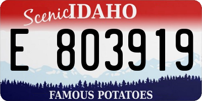 ID license plate E803919
