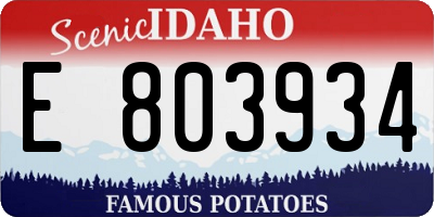 ID license plate E803934