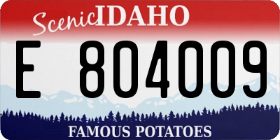 ID license plate E804009