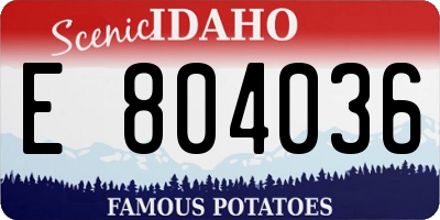 ID license plate E804036