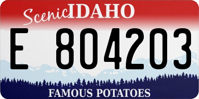 ID license plate E804203