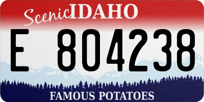 ID license plate E804238
