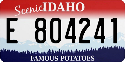 ID license plate E804241