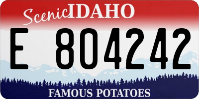 ID license plate E804242