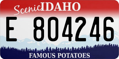 ID license plate E804246