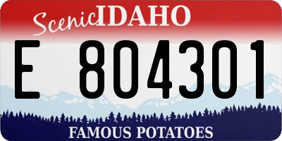 ID license plate E804301