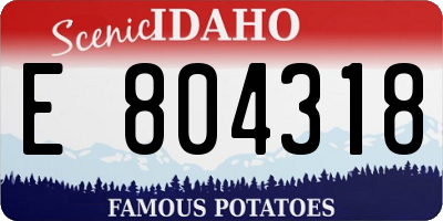 ID license plate E804318