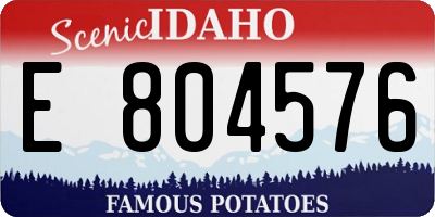 ID license plate E804576