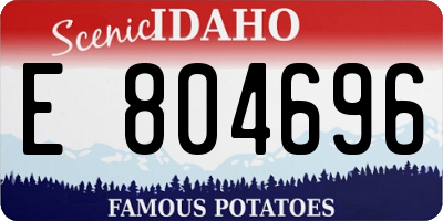 ID license plate E804696