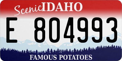 ID license plate E804993