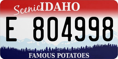 ID license plate E804998