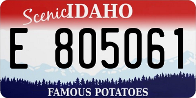 ID license plate E805061
