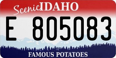 ID license plate E805083