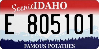 ID license plate E805101