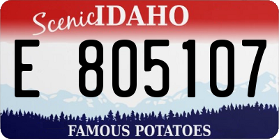 ID license plate E805107