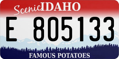 ID license plate E805133