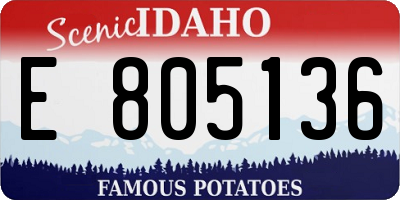 ID license plate E805136