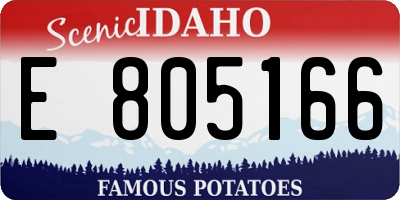 ID license plate E805166