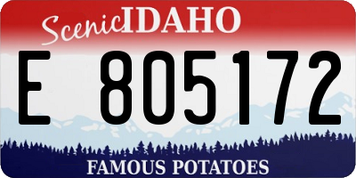 ID license plate E805172